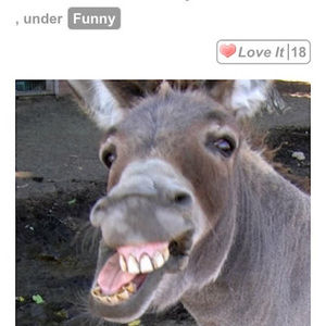 Meet your Posher, Isaiah